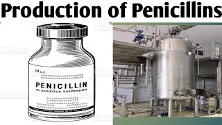 Production of Penicillin Biotechnology Unit 5  B Pharm 6 Sem productionofpenicillins [upl. by Bennion]