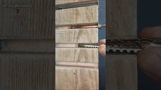 Anchor bolts operating principle Demonstration of installation shorts construction tips tools [upl. by Naitsabes]