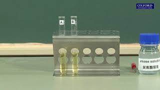 Practical 44 Investigation of the effect of inhibitors on enzyme activity [upl. by Rehteh]