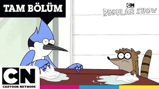 SÜREKLİ DİZİ  Bay Patron  TAM BÖLÜM  cartoonnetworkturkiye [upl. by Bodwell]