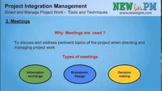 Chapter 4  Direct and Manage Project Work [upl. by Feinleib]