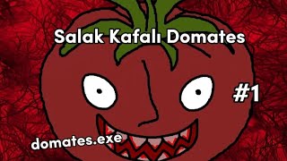 Mr TomatoS oynuyorum  Salak Kafalı Domates 1 [upl. by Elamef]