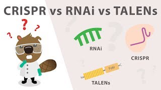 Gene Silencing Methods CRISPR vs TALENs vs RNAi [upl. by Ynattirb]