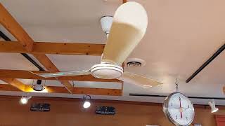 Canarm CP48 amp CP56 amp 36quot Nadair Industrial Ceiling Fans Feat BrianFanofFans17 amp AlexTheFanMan [upl. by Nebe163]