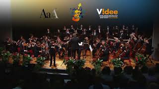 Shihan Wang  2018 il Piccolo Violino Magico Competition [upl. by Retsae]