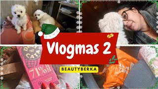 VLOGMAS 231 🎄︱Jurim Bex za Temu pakete Lagani ručak i Dnevna kupovina [upl. by Emmi322]