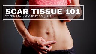 Scar Tissue 101  How Scar Tissue Impacts the Body [upl. by Etiragram]