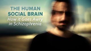 The Human Social Brain How It Goes Awry in Schizophrenia [upl. by Elleneg]