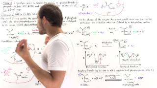 Stage 3 of Glycolysis Steps 6 7 [upl. by Tenneb285]