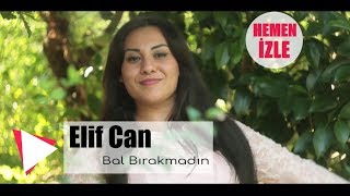 Elif Can  Bal Bırakmadın Official Video [upl. by Desdee273]