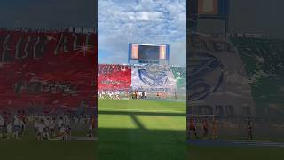 40000 FORTINEROS PARA EL VÉLEZ vs COLÓN velez afa futbolargentino ligaprofesional [upl. by Nosiaj]