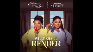 Celestine Donkor  What shall I render ft Obaapa Christy [upl. by Standice]