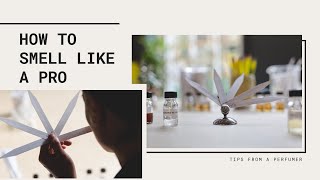 How to smell perfumes and perfume ingredients like a pro [upl. by Nodyroc]