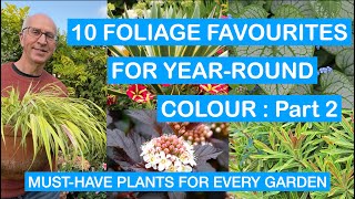 10 FOLIAGE FAVOURITES FOR YEARROUND COLOUR – Part 2 MUSTHAVE PLANTS FOR EVERY PATIO amp GARDEN [upl. by Kentiggerma502]