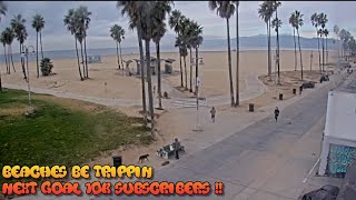 Venice Beach Webcam  Venice Beach Live Cam  venice beach live boardwalk cam [upl. by Rotceh]