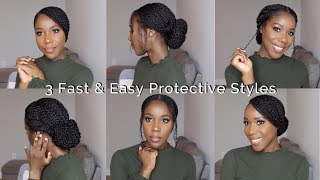 3 Fast amp Easy Protective Styles  Natural Hair  TheLifestyleLuxe [upl. by Sinnek490]