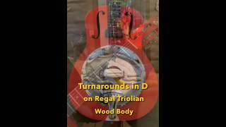 3  Turnarounds in D on Regal Wood Body Triolian  Resonator Slide Guitar Lesson … [upl. by Enar94]