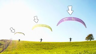 Paragliding vs Speedflying vs Miniwing [upl. by Clarke86]