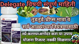 Delegate insecticideDelegate कीटकनाशका विषयी संपूर्ण माहितीAapliShetiAaplshivarD [upl. by Spanjian]