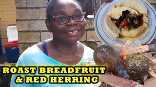 Roast Breadfruit And Red Herring  Local Jamaican Style 🇯🇲 [upl. by Ahsirt289]