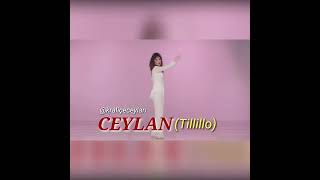 ceylanmuzik Ceylan amp Tillillo Zeyno [upl. by Hak]