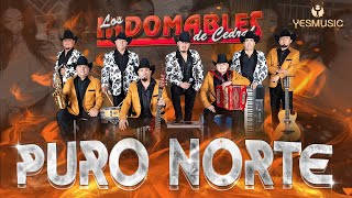 Los Indomables De Cedral  Puro Norte  Video Musical [upl. by Savinirs832]