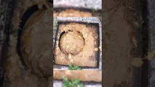 Effective Natural Remedies for Clogged Drains [upl. by Yud]