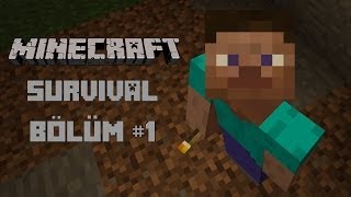 Minecraft öğreniyorum Survival Bölüm 1 [upl. by Aitra193]