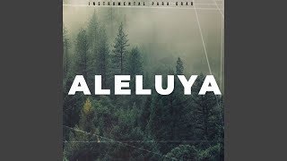 Aleluya [upl. by Assirral]