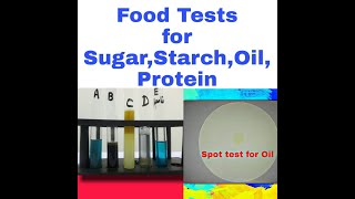 Food Tests Benedict test for sugariodine for starchspot and emulsion for fat Biuret for protein [upl. by Durtschi377]