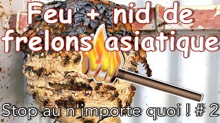 Feu  nid de frelons asiatique  Stop au nimporte quoi   2 [upl. by Brenda]