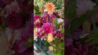 Dinky late summer diy wedding flowers buckets from Common Farm Flowers Bruton Somerset [upl. by Marcus156]