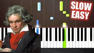 Beethoven  Fur Elise  SLOW EASY Piano Tutorial by PlutaX [upl. by Calandra]