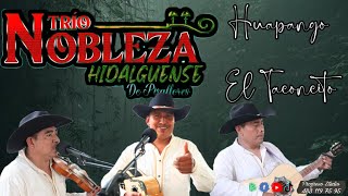 TRIO NOBLEZA HIDALGUENSE  HUAPANGO EL TACONCITO [upl. by Ecylahs]