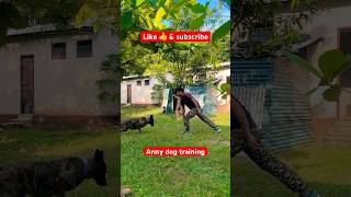 Military dog training techniques🇮🇳✅ youtubeshorts shortvideo shortsfeed germanshepherd [upl. by Lovell73]