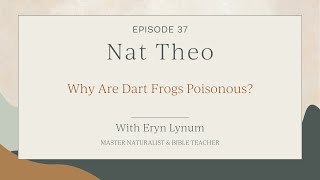 Why Are Dart Frogs Poisonous Episode 37 [upl. by Tracey]