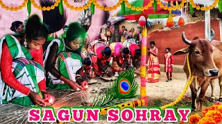 Sagun sohray  Sohray video  santali video  SAGUN SOHRAY New Santali Sohray Song [upl. by Minor958]