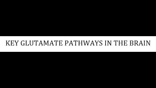 STAHLS  CH 4  PART 18  KEY GLUTAMATE PATHWAYS IN THE BRAIN psychiatrypharmacology [upl. by Yelnoc379]