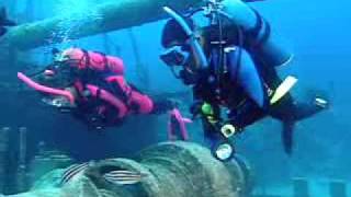 PADI Scuba Diving Lessons PADI Wreck Diver Course [upl. by Anwahsad]