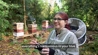 Beekeeping at Martineau Gardens Subtitled [upl. by Dre537]