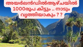 പ്രകൃതിയെ സംരക്ഷിച്ചാൽ  🇨🇮അയർലൻഡ് തരും ₹1000😍 [upl. by Thom]