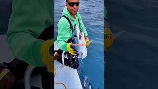 Amazing fishman 🥰 fishing fish shark fishinglife bigfish survivalskills seafood [upl. by Cynar]