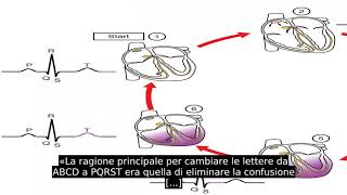 Elettrocardiogramma [upl. by Akimot810]