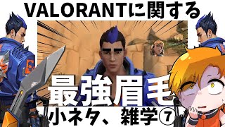 【最強クロスヘア】VALORANT⑦に関するありえない小ネタ、雑学【VALORANTヴァロラント】【HYORUネタ動画】 [upl. by Lananna]