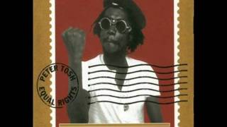 Peter Tosh  You Can´t Blame the Youth Outtake [upl. by Einnoj]