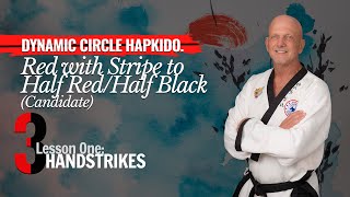 L3D – Red with Stripe to Half RedHalf Black Candidate  Lesson 03  Handstrikes [upl. by Ruelle540]