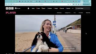 BBC South  Dogs on beaches Interview [upl. by Marolda]