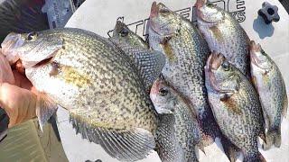 Catch Crappie For Dinner Simple Way To Locate and Catch Summer Crappie [upl. by Tenom]