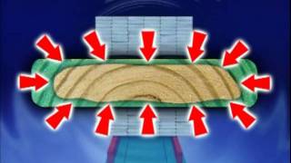 Preservative Wood Treatment Process [upl. by Ilehs352]