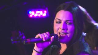 Evanescence  The Change Live in Germany [upl. by Aerdnaxela184]